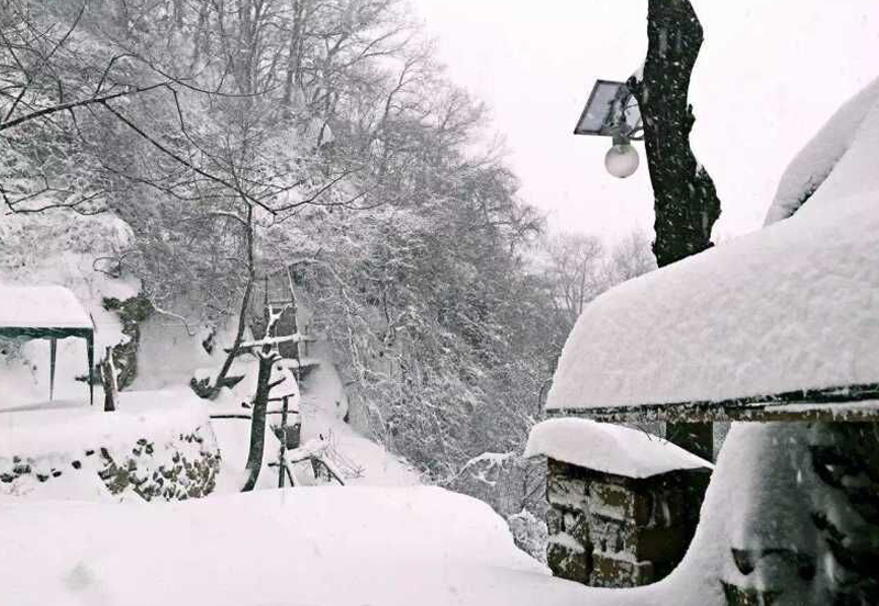 行業(yè)普及：太陽能路燈有什么種類