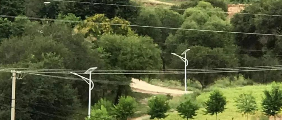 案例賞析〡云雁高飛，助力鄉村振興